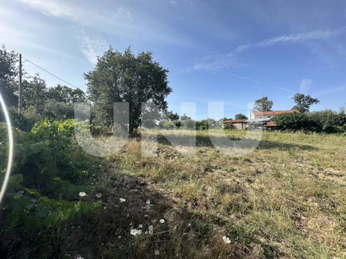 Terreno Agricola ou Rústico para Venda em Fundão, Valverde, Donas, A. Joanes, A. Nova Cabo Foto 5