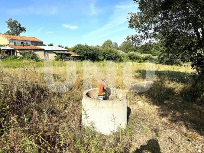 Terreno Agricola ou Rústico para Venda em Fundão, Valverde, Donas, A. Joanes, A. Nova Cabo Foto 6