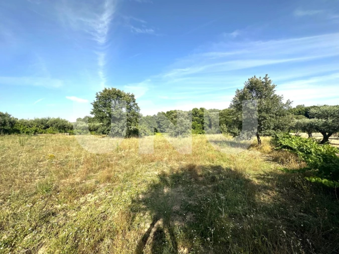 Terreno Agricola ou Rústico para Venda em Fundão, Valverde, Donas, A. Joanes, A. Nova Cabo Foto 7