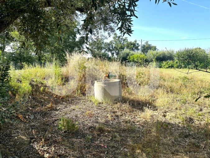 Terreno Agricola ou Rústico para Venda em Fundão, Valverde, Donas, A. Joanes, A. Nova Cabo Foto 9