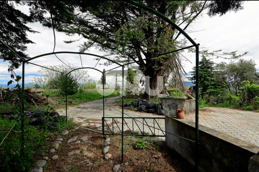 Moradia T8 para Venda em Boidobra Foto 1