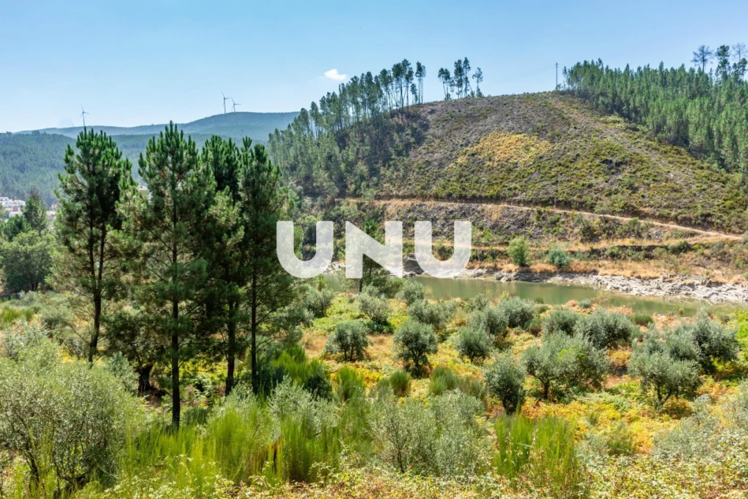 Terreno Agricola ou Rústico para Venda em Barroca Foto 2