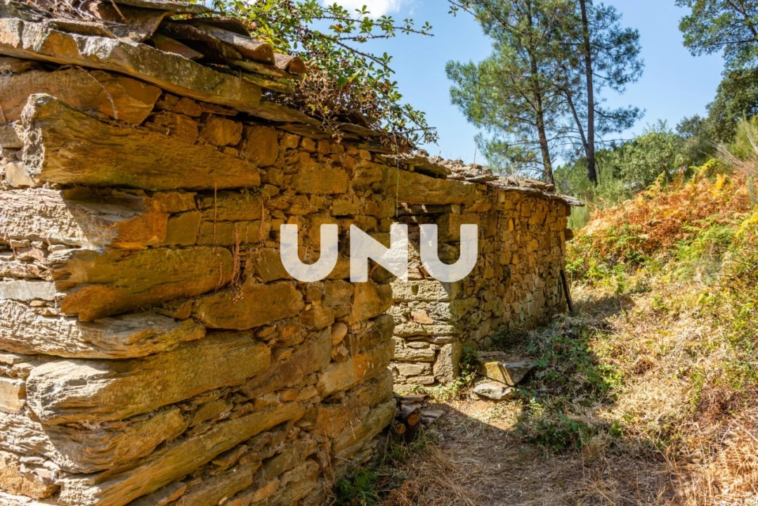 Terreno Agricola ou Rústico para Venda em Barroca Foto 4