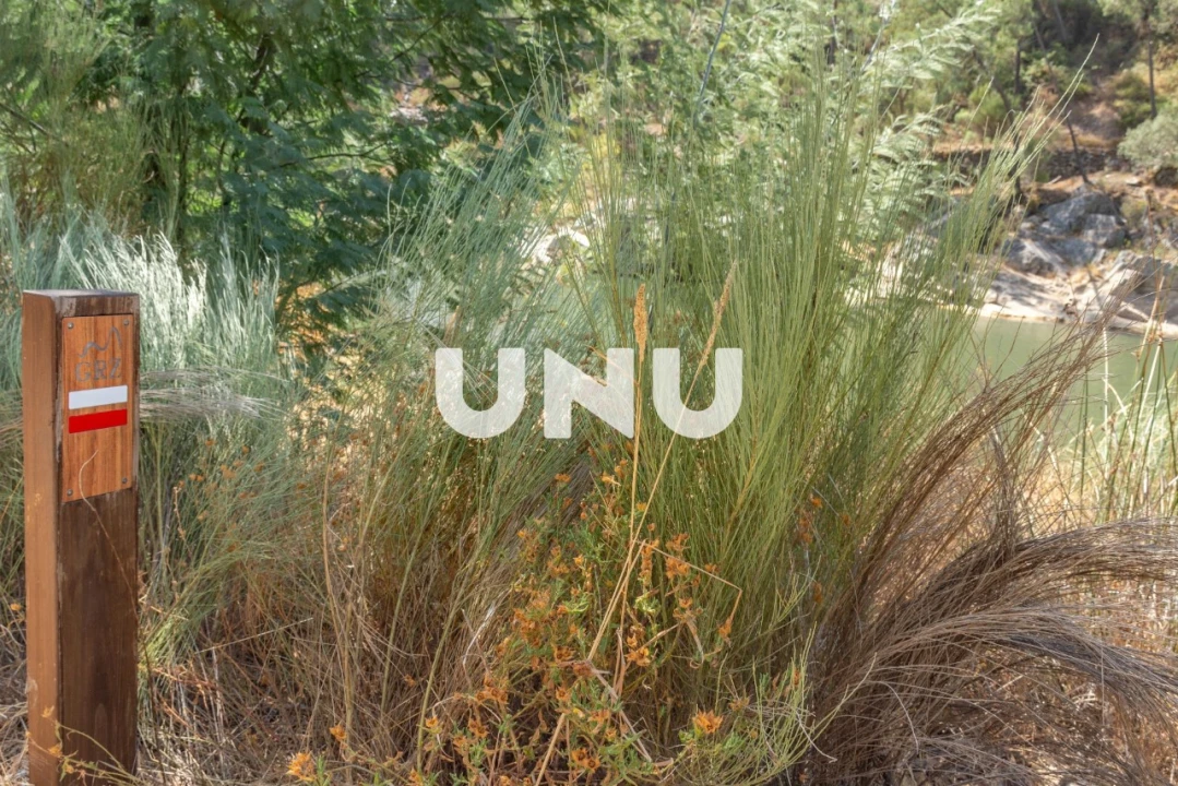 Terreno Agricola ou Rústico para Venda em Barroca Foto 6