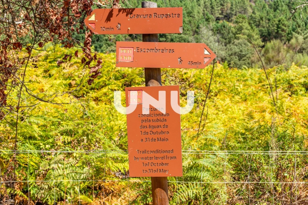 Terreno Agricola ou Rústico para Venda em Barroca Foto 8