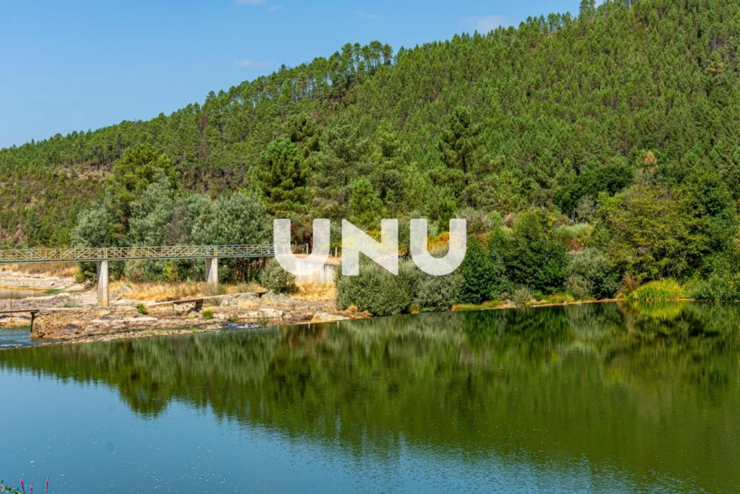 Terreno Agricola ou Rústico para Venda em Barroca Foto 9