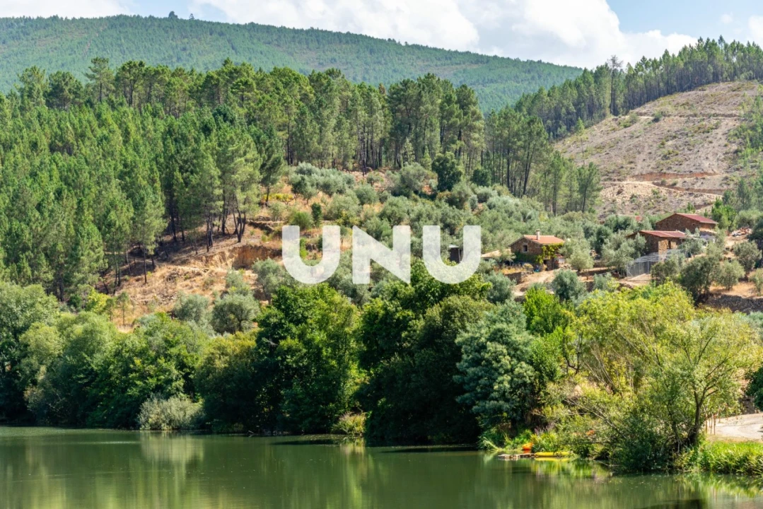 Terreno Agricola ou Rústico para Venda em Barroca Foto 10