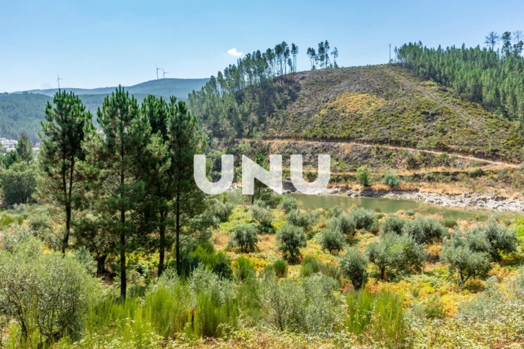 Terreno Agricola ou Rústico para Venda em Barroca Foto 2