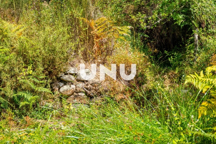 Terreno Agricola ou Rústico para Venda em Barroca Foto 3