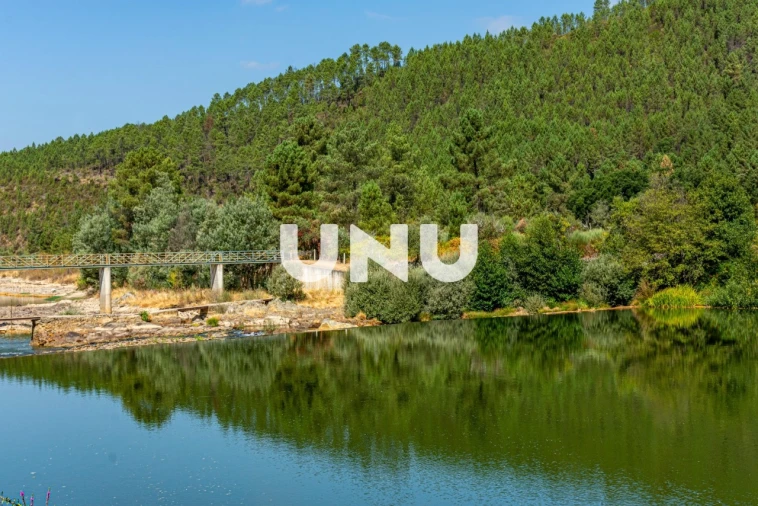 Terreno Agricola ou Rústico para Venda em Barroca Foto 9