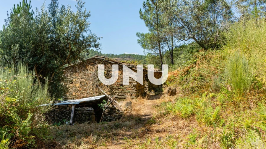 Terreno Agricola ou Rústico para Venda em Barroca