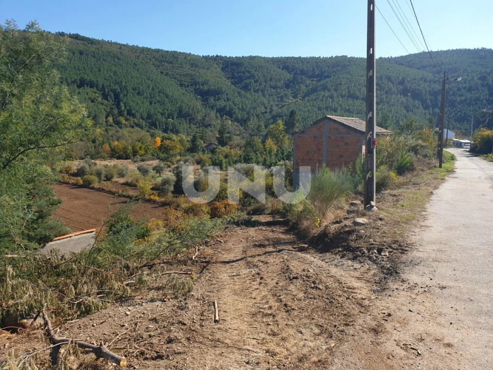 Terreno Agricola ou Rústico para Venda em Paul Foto 3