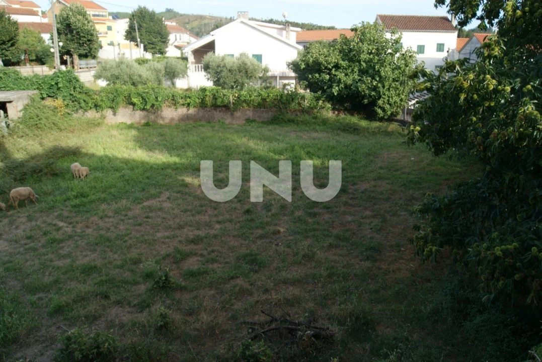 Terreno Agricola ou Rústico para Venda em Paul Foto 5