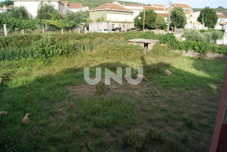 Terreno Agricola ou Rústico para Venda em Paul Foto 4