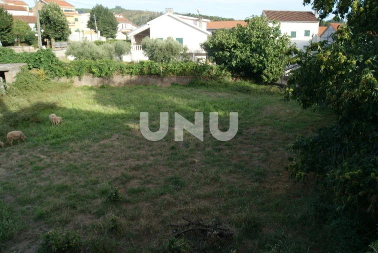 Terreno Agricola ou Rústico para Venda em Paul Foto 5