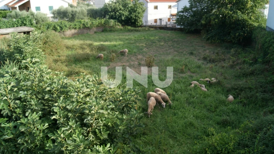 Terreno Agricola ou Rústico para Venda em Paul
