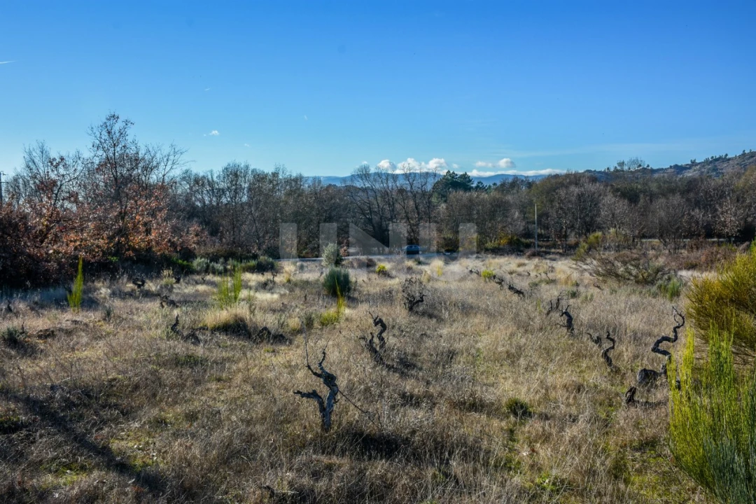 Terreno Agricola ou Rústico para Venda em Inguias Foto 2