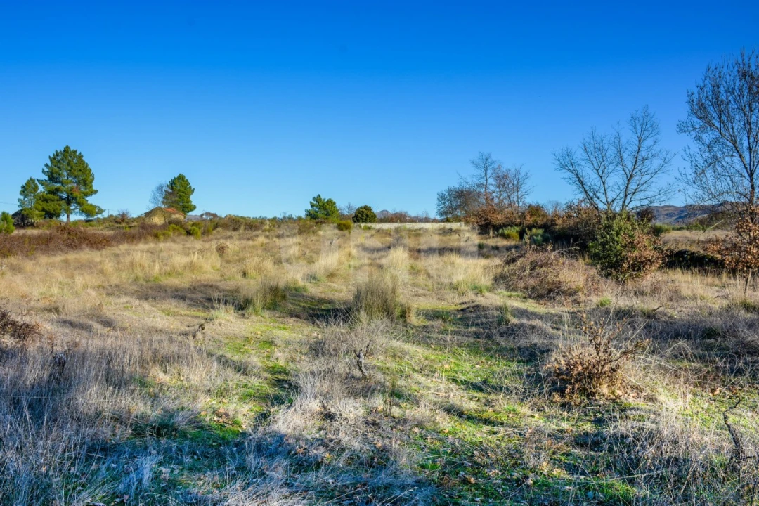 Terreno Agricola ou Rústico para Venda em Inguias Foto 3