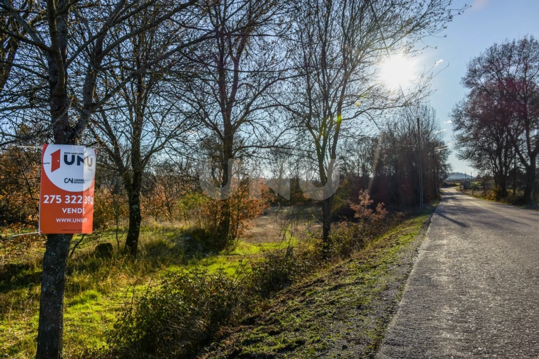 Terreno Agricola ou Rústico para Venda em Inguias Foto 6