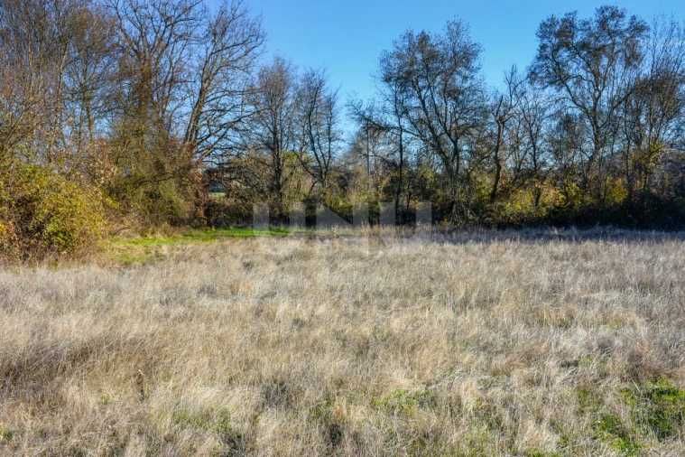 Terreno Agricola ou Rústico para Venda em Inguias Foto 4