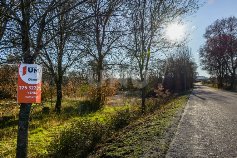 Terreno Agricola ou Rústico para Venda em Inguias Foto 6