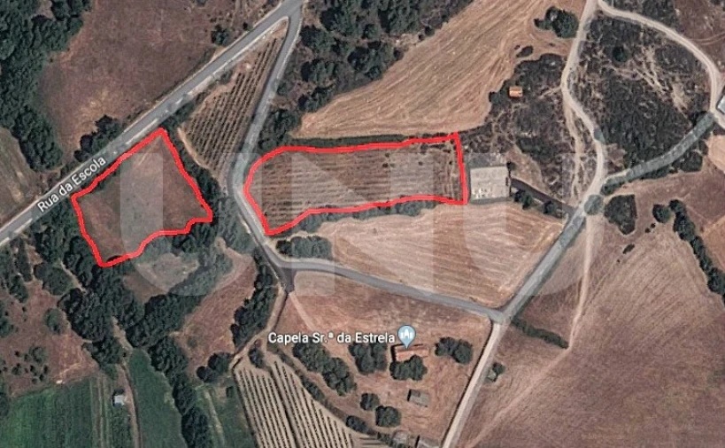 Terreno Agricola ou Rústico para Venda em Inguias Foto 7