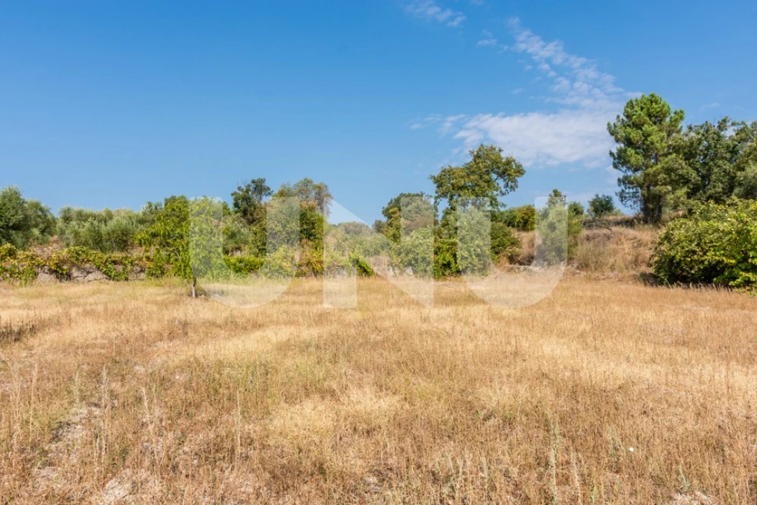 Terreno Agricola ou Rústico para Venda em Orca Foto 3