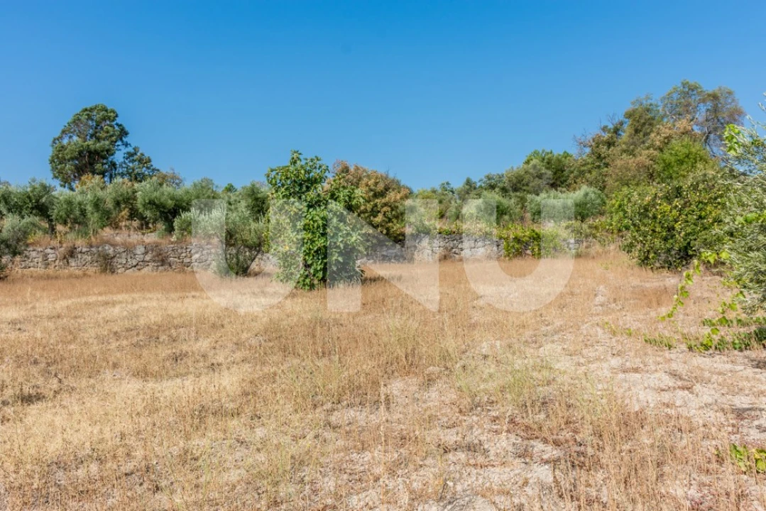 Terreno Agricola ou Rústico para Venda em Orca Foto 4