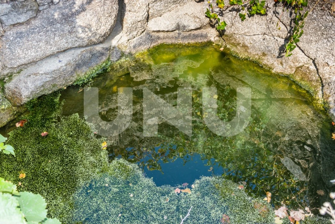 Terreno Agricola ou Rústico para Venda em Orca Foto 5