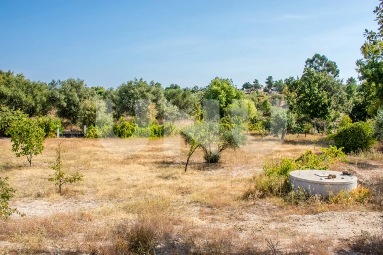 Terreno Agricola ou Rústico para Venda em Orca