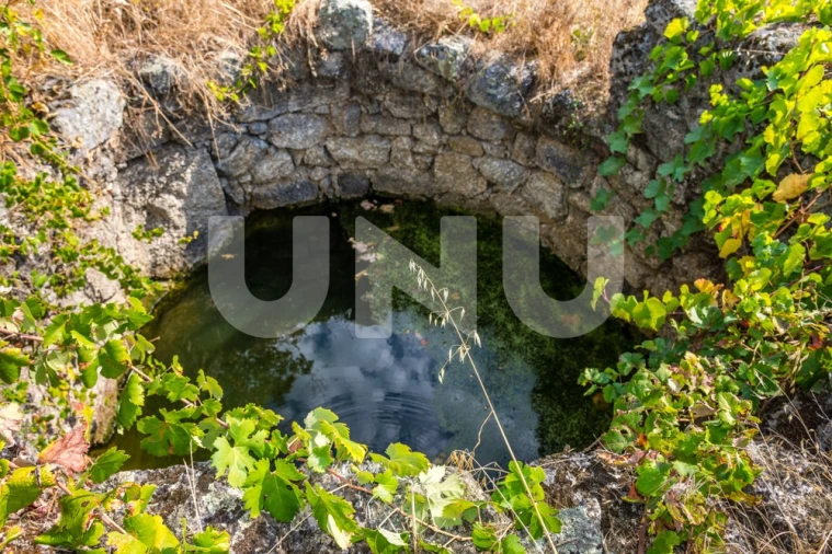 Terreno Agricola ou Rústico para Venda em Orca Foto 6