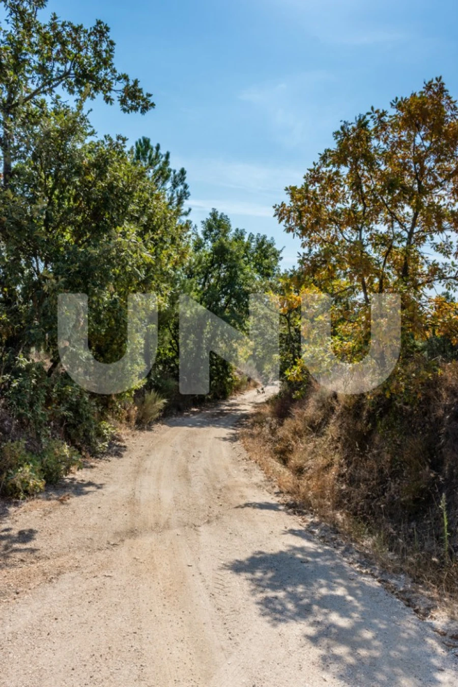 Terreno Agricola ou Rústico para Venda em Orca Foto 9