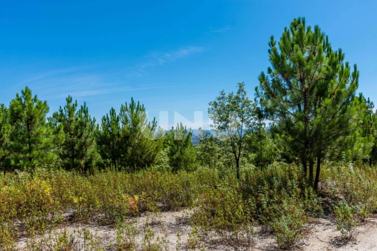 Terreno Agricola ou Rústico para Venda em Teixoso e Sarzedo