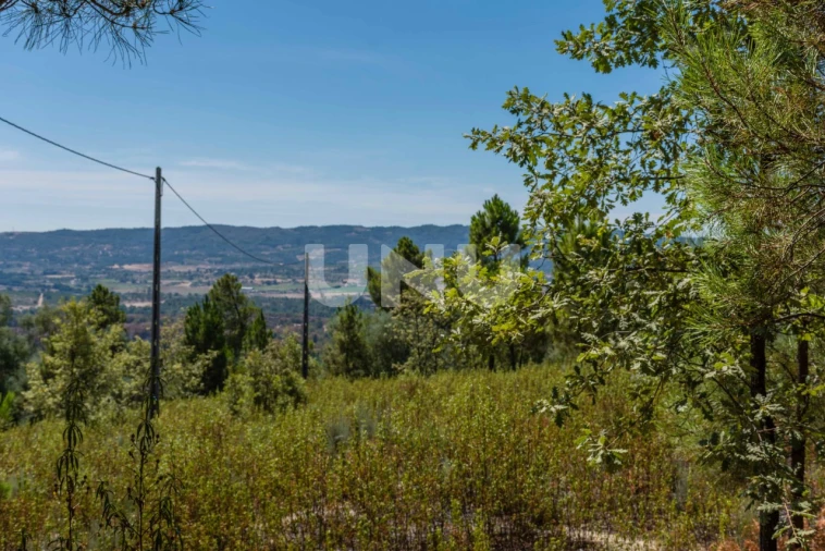 Terreno Agricola ou Rústico para Venda em Teixoso e Sarzedo Foto 5