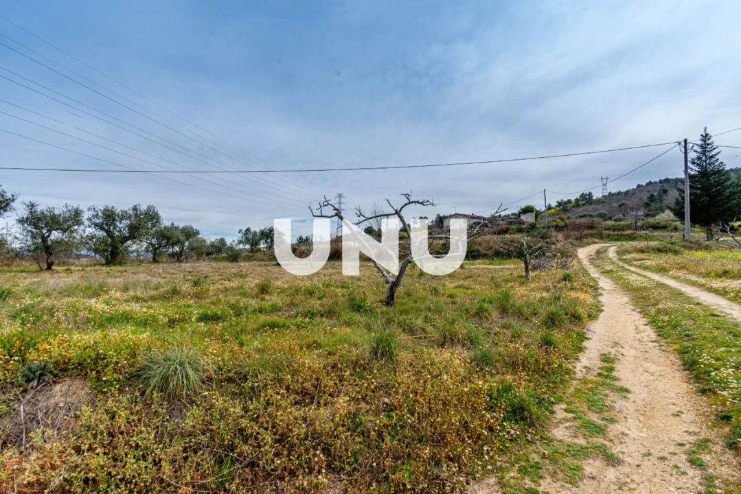 Terreno Agricola ou Rústico para Venda em Ferro Foto 2
