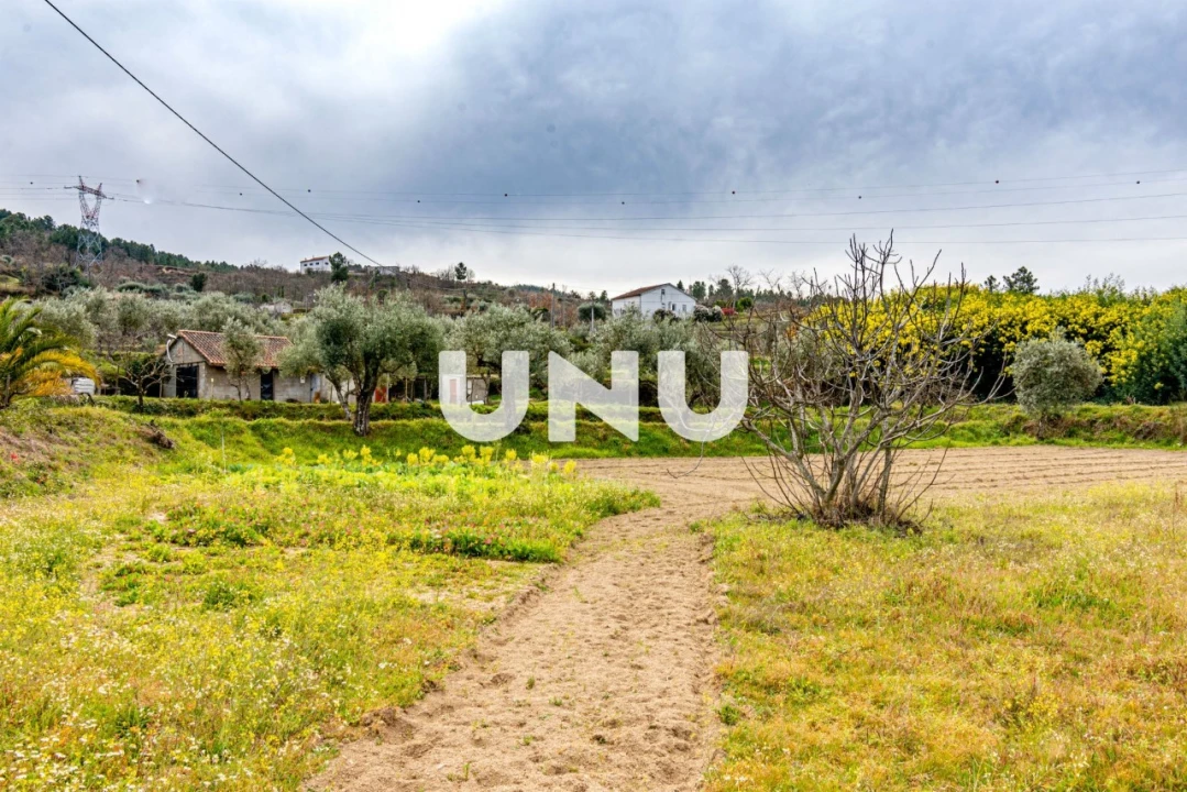 Terreno Agricola ou Rústico para Venda em Ferro Foto 3