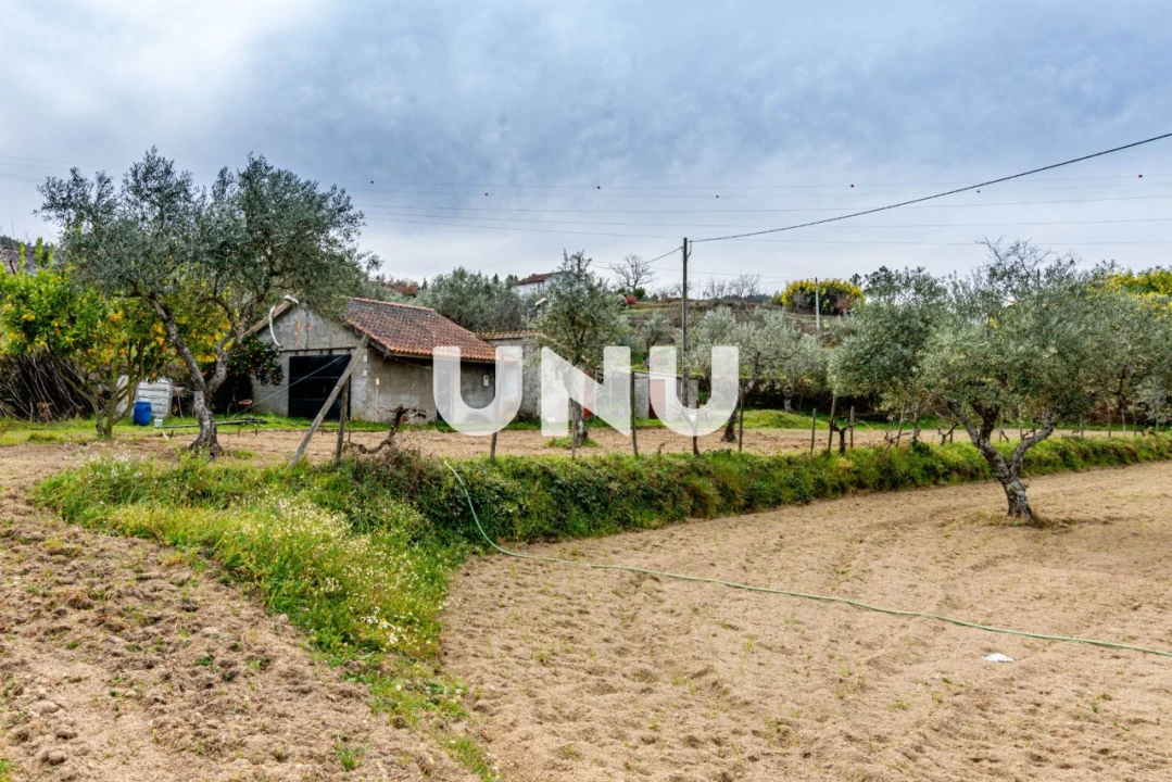 Terreno Agricola ou Rústico para Venda em Ferro Foto 4