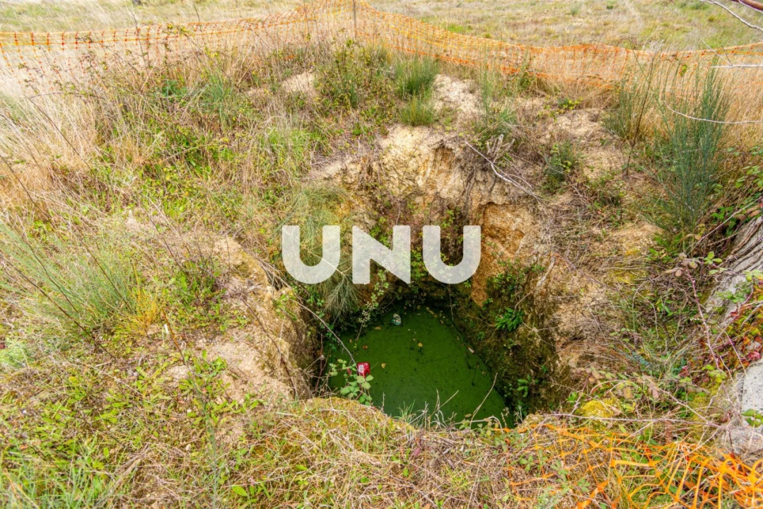 Terreno Agricola ou Rústico para Venda em Ferro Foto 5
