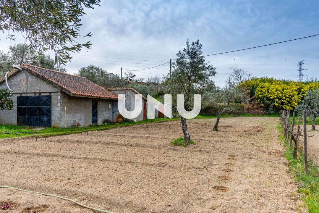 Terreno Agricola ou Rústico para Venda em Ferro Foto 6