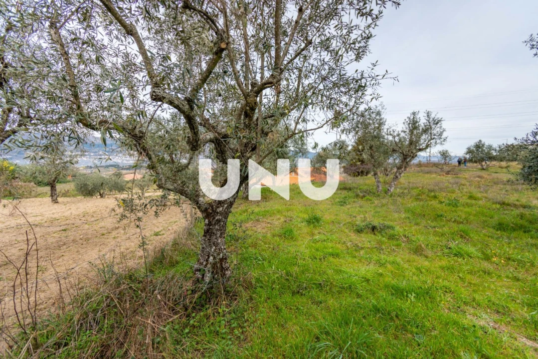 Terreno Agricola ou Rústico para Venda em Ferro Foto 11