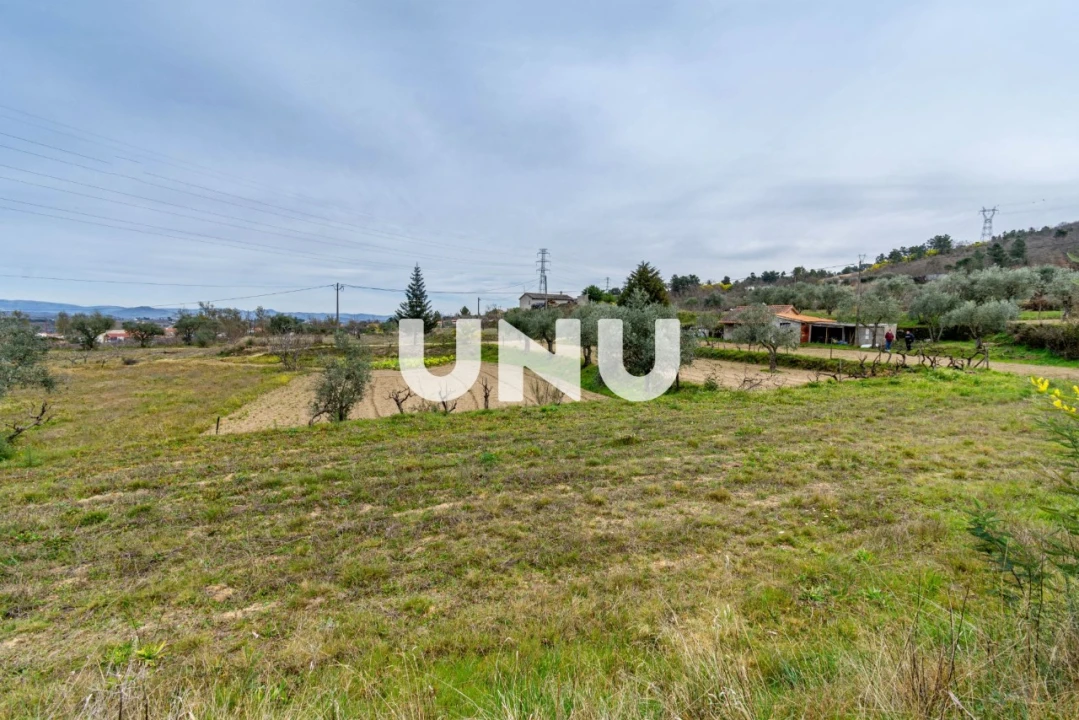 Terreno Agricola ou Rústico para Venda em Ferro Foto 14