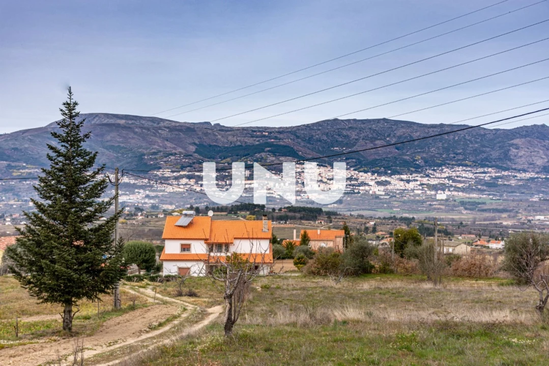 Terreno Agricola ou Rústico para Venda em Ferro Foto 15