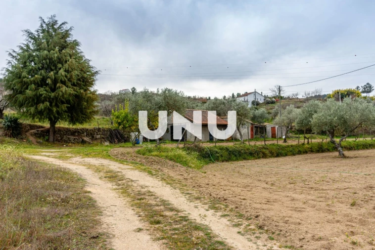 Terreno Agricola ou Rústico para Venda em Ferro Foto 1