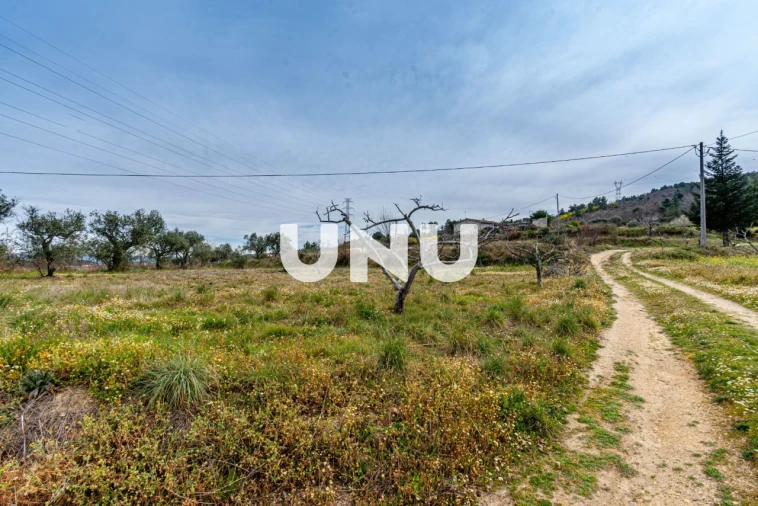 Terreno Agricola ou Rústico para Venda em Ferro Foto 2