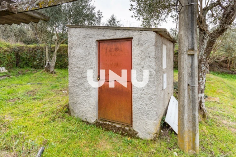 Terreno Agricola ou Rústico para Venda em Ferro Foto 7