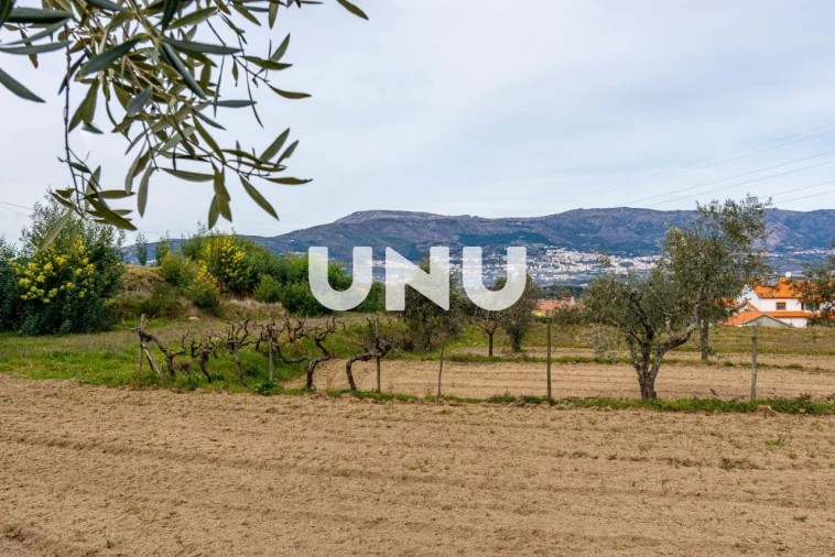 Terreno Agricola ou Rústico para Venda em Ferro Foto 13
