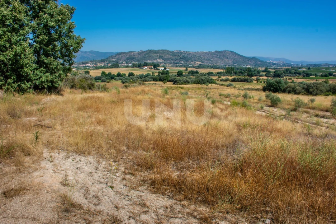 Terreno Agricola ou Rústico para Venda em Inguias Foto 4