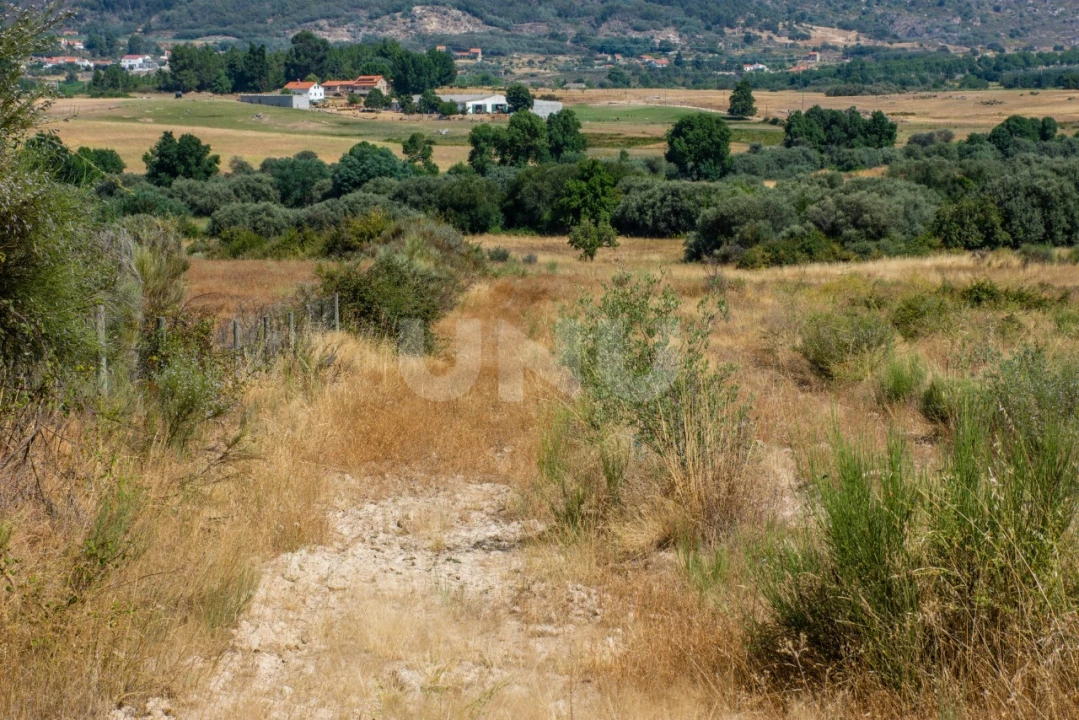 Terreno Agricola ou Rústico para Venda em Inguias Foto 5