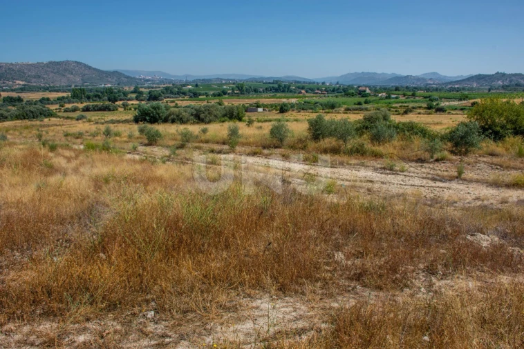 Terreno Agricola ou Rústico para Venda em Inguias Foto 3