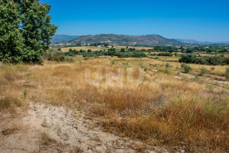 Terreno Agricola ou Rústico para Venda em Inguias Foto 4